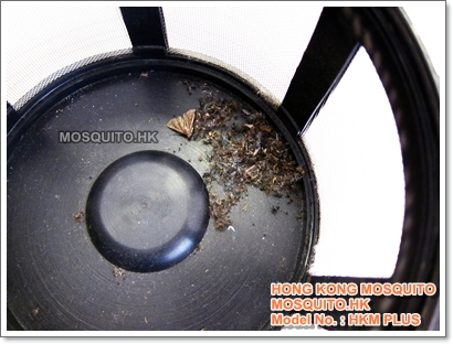 HKM PLUS 室內環保光觸媒滅蚊機在學校實際捕蚊結果 - Hong Kong Mosquito - www.mosquito.hk